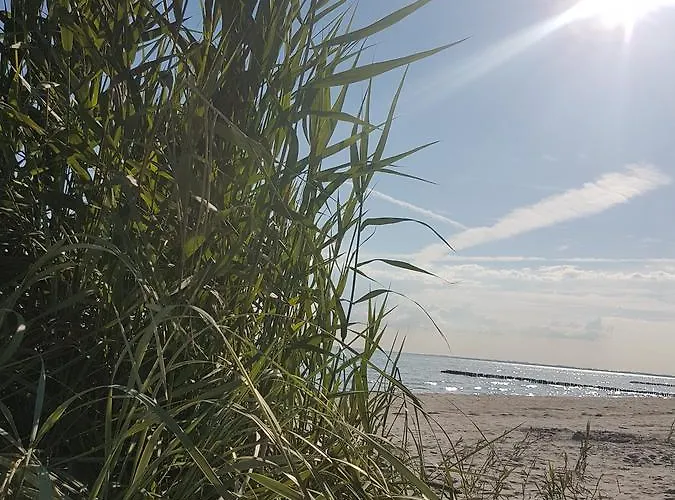 Klintholm Marina Park Frühstückspension Borre